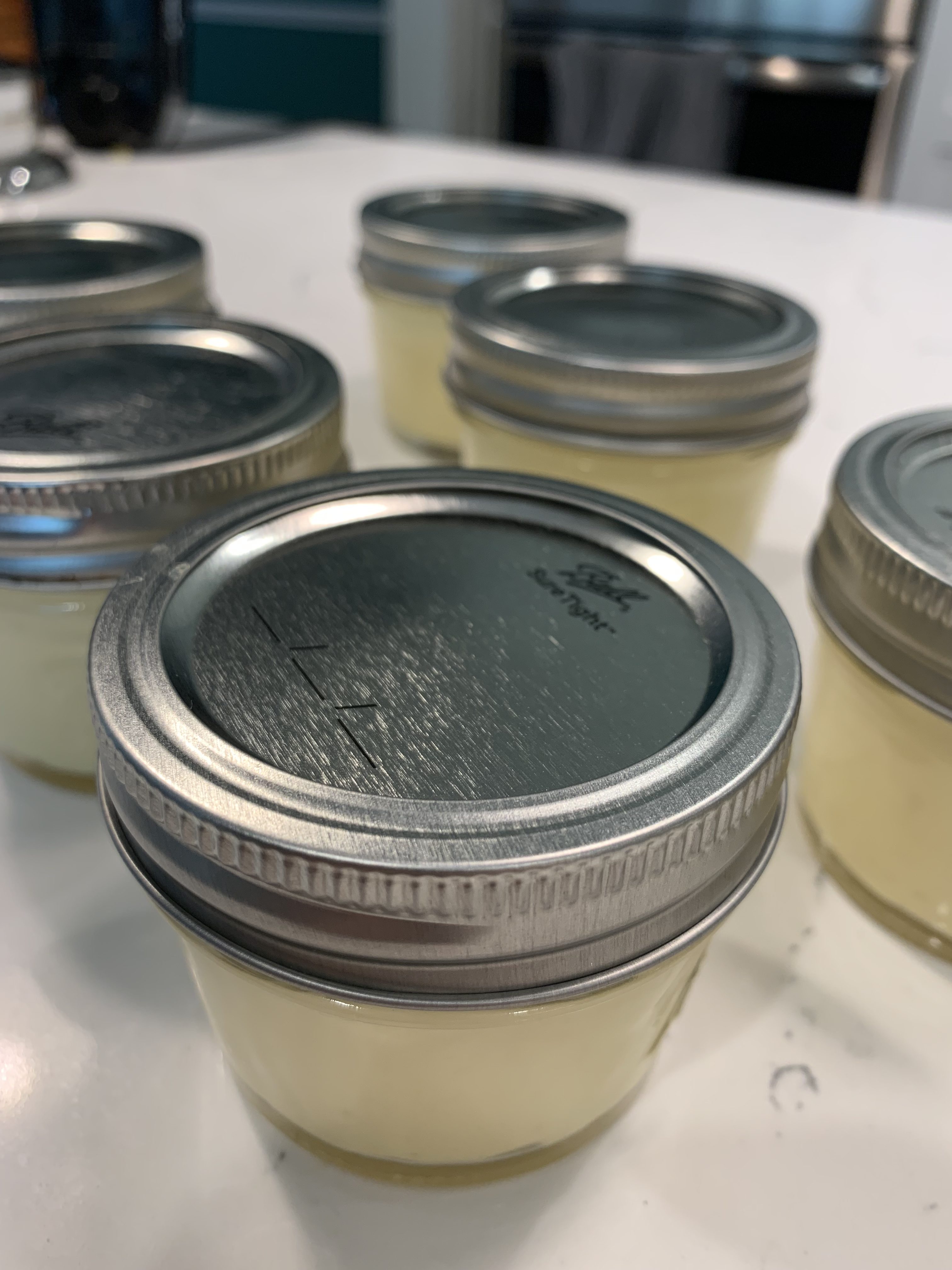 Individual Sous Vide Cheesecakes With Blueberry Basil Compote